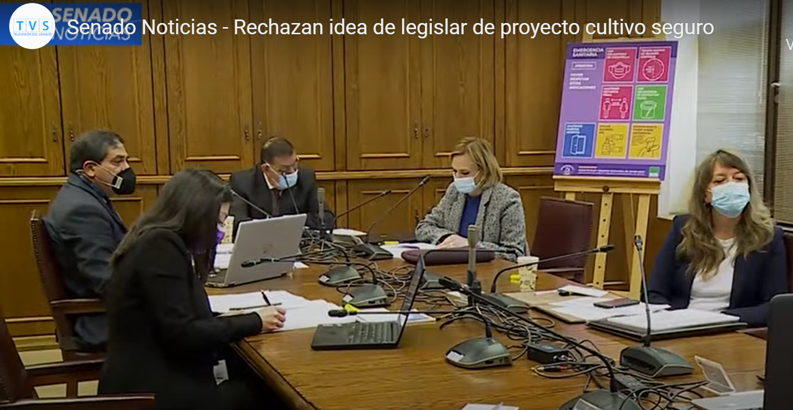 Despenalización cannabis