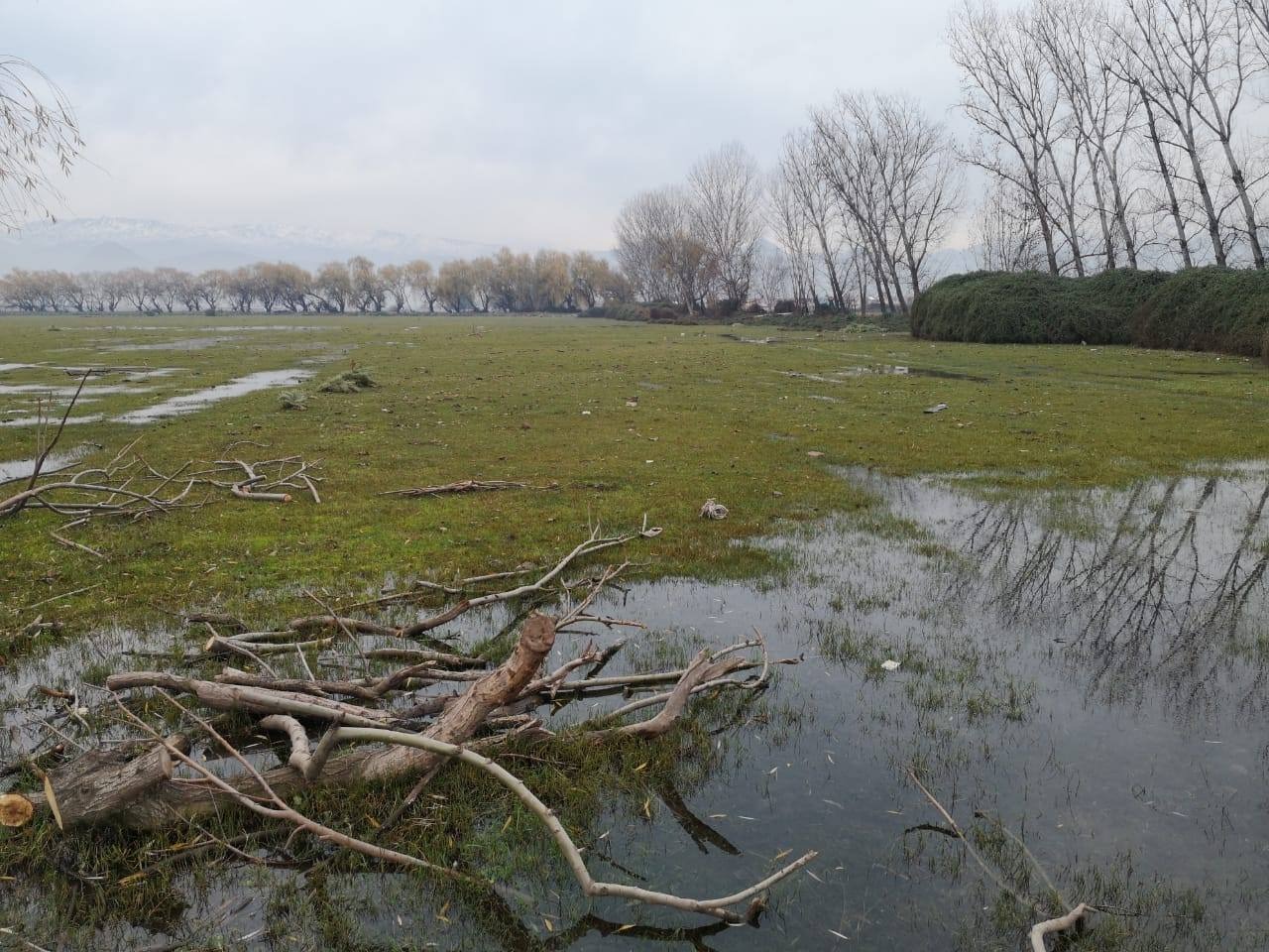 Humedal Urbano de Quilicura/Crédito: Resistencia Socioambiental Quilicura
