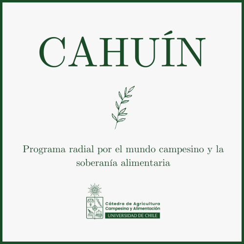 Cahuin podcast