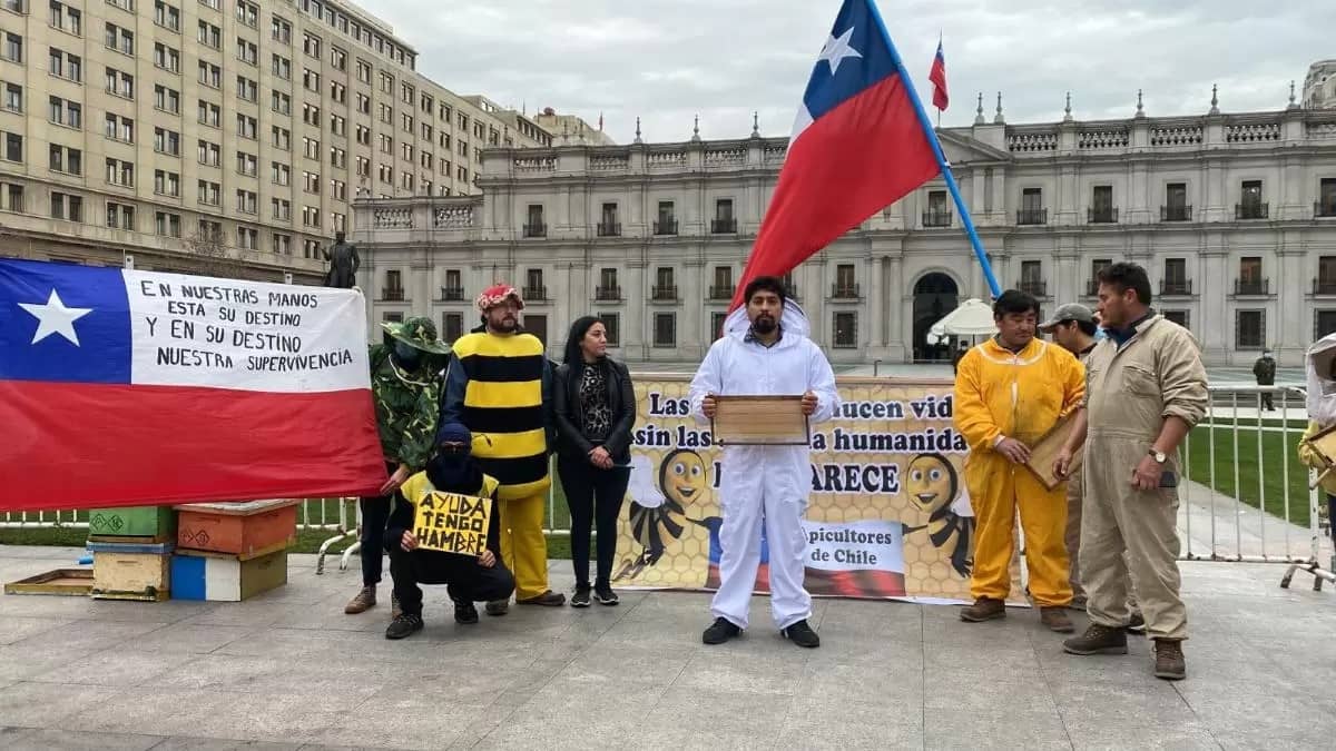 Manifestación de apicultores frente al Palacio de La Moneda