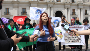 COP27: Agrupaciones ambientales alertan sobre falsas soluciones al cambio climático en Chile y denuncian al gobierno de ser precursor y líder en el impulso de los mercados de carbono