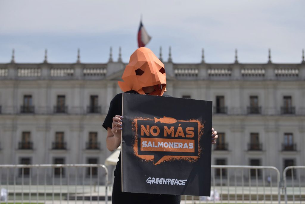 Greenpeace pide al gobierno frenar el avance salmonero en la Patagonia chilena. Problemas medioambientales en Chile