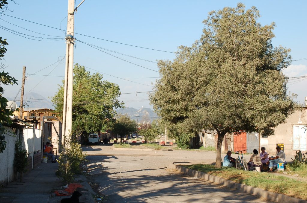 paisaje de la población Los Nogales