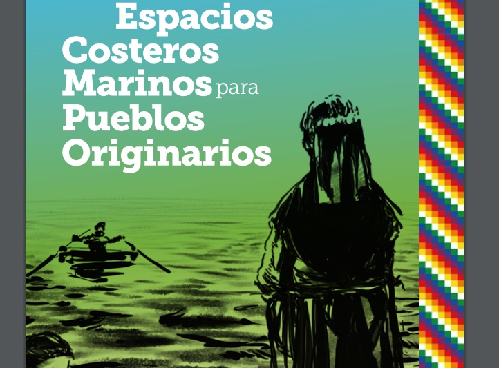 Preocupación desde organismos internacionales de DDHH por amenazas y vulneración de derechos indígenas en Ley Lafkenche